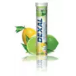 DEXAL PRO HYDRATION LEMON-LIME + CAF - Urheiluravinteet - M31 - 1