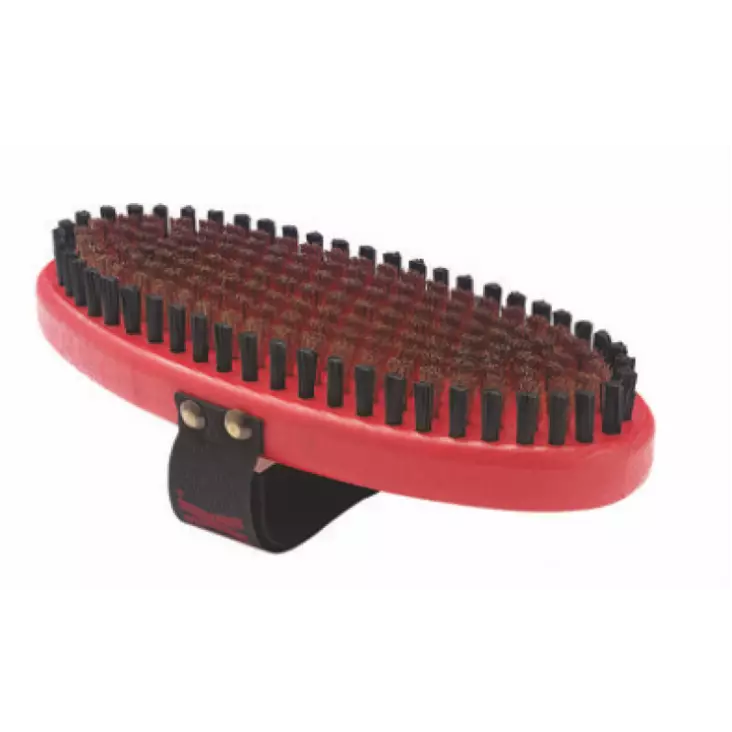 SWIX TO164O BRUSH OVAL WILDB BOARD - Käsiharjat - D4626 - 1