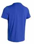 Daehlie T-Shirt Tempo men's - Miesten juoksuasut - ZZZ0013658 - 2